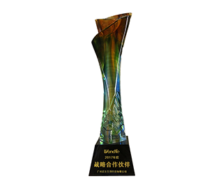 2017年度戰(zhàn)略合作伙伴
